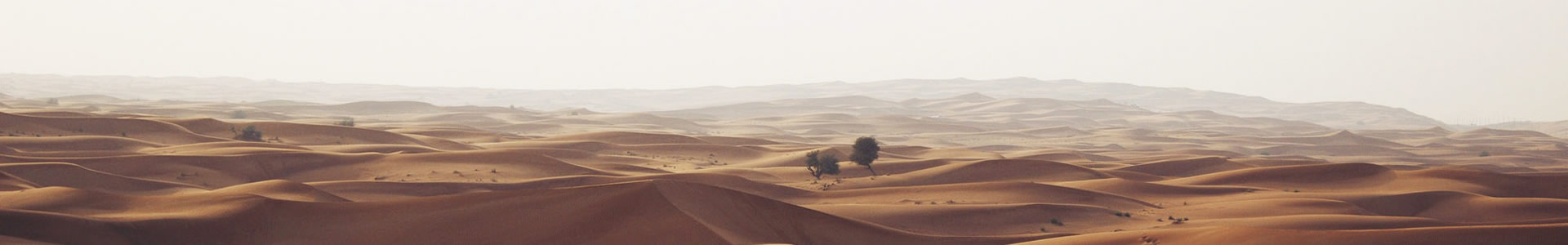ϵſó޹˾
